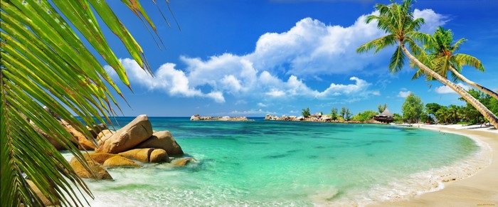 Tropical beach with palm trees and turquoise water