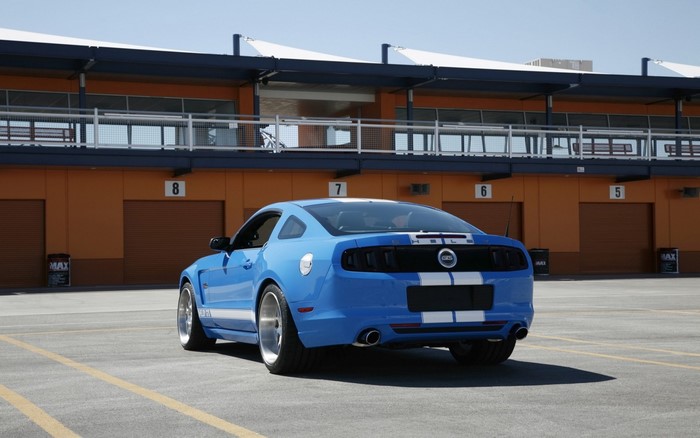 Blue Ford Shelby GTS parked at a race track