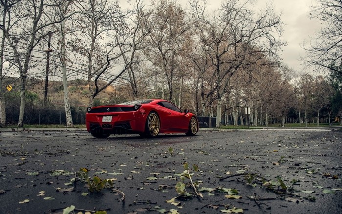 Red Ferrari 458 Italia parked on wet asphalt with fallen leaves