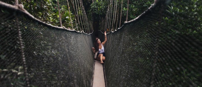 Woman on a canopy bridge in a rainforest
