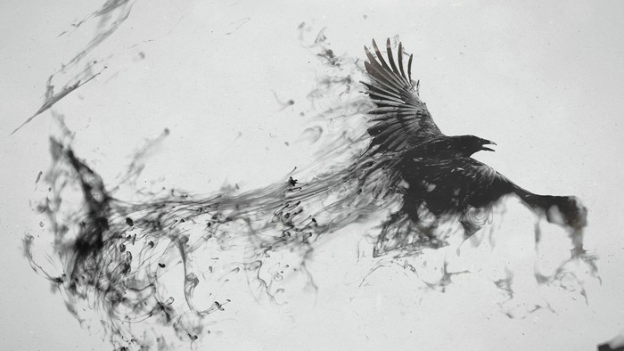 Black ink bird dissolving into smoke
