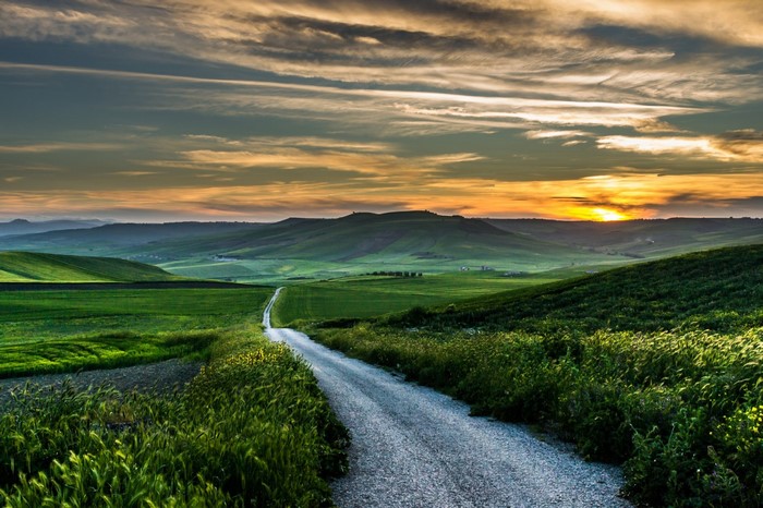 Road through rolling green hills at sunset