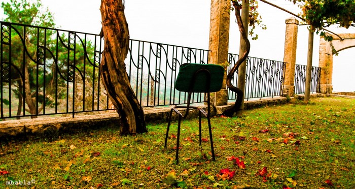 An empty chair in an autumn garden with fallen leaves