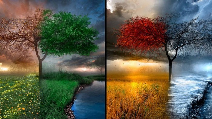 A tree showing four seasons with a river and fields
