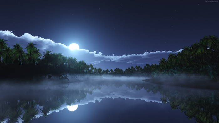 Night scene with moon over a tropical river and palm trees