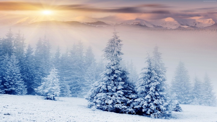 Winter sunset over snow-covered mountains and pine trees