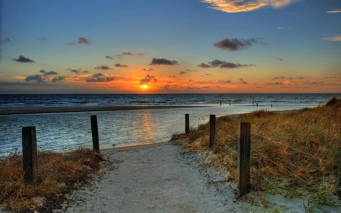 Beach path at sunset with ocean and dunes