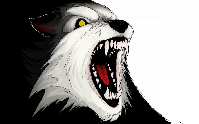 Close-up illustration of a snarling wolf's head