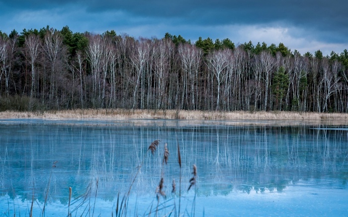 Frozen lake reflecting a forest under a cloudy sky