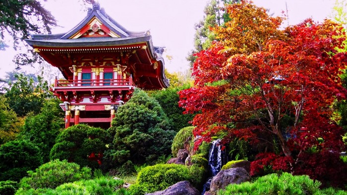 Japanese temple in a garden with autumn trees