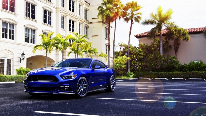 Blue Ford Mustang parked in front of a building with palm trees
