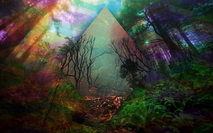 Abstract forest with geometric overlays