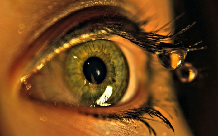 Macro photography of a green eye with water drops
