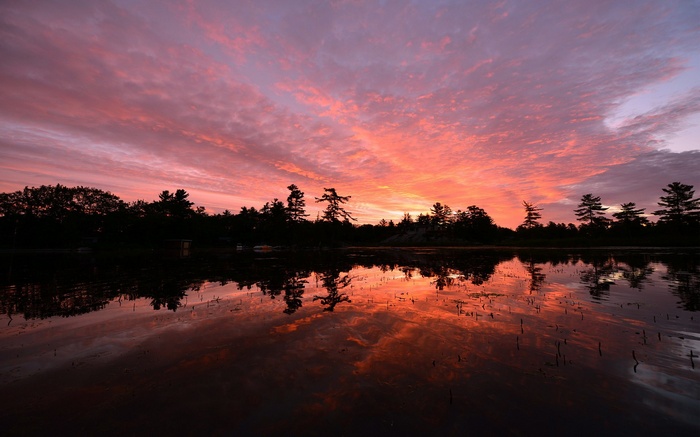 Sunset over a lake with silhouetted trees