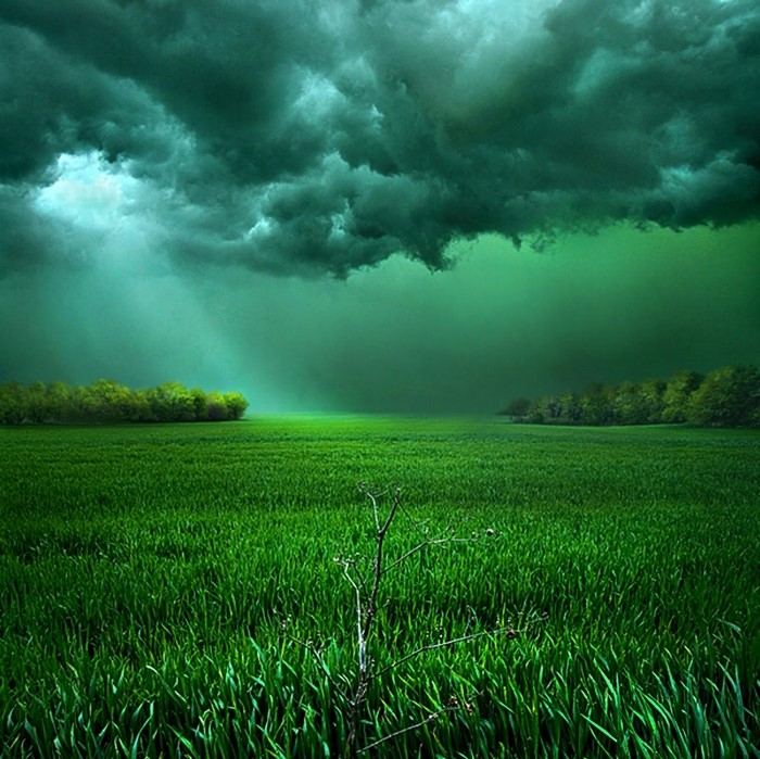 Stormy green sky over a grassy field with trees