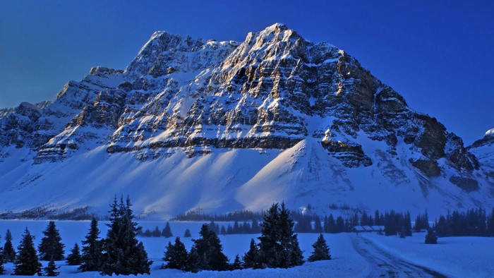 Snow-covered mountains and trees in winter landscape