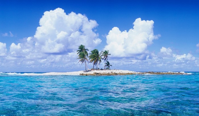 Tropical island with palm trees in the ocean