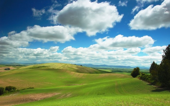 Rolling green hills under a cloudy blue sky