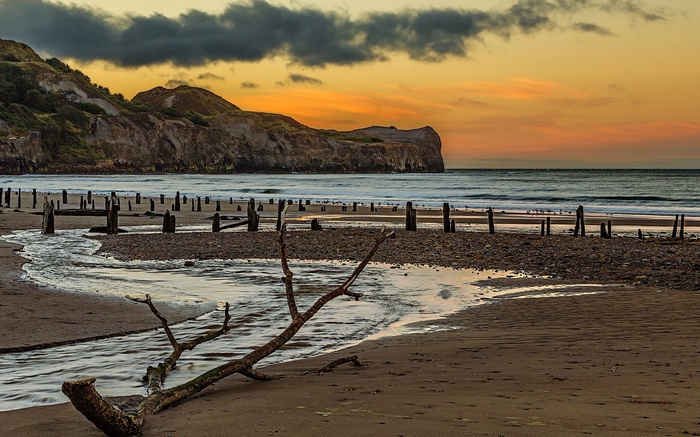 Beach with driftwood and old pilings at sunset