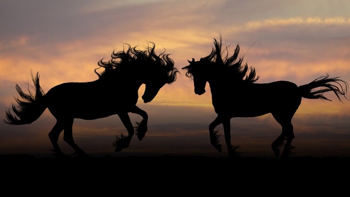 Two horses silhouetted against a sunset sky