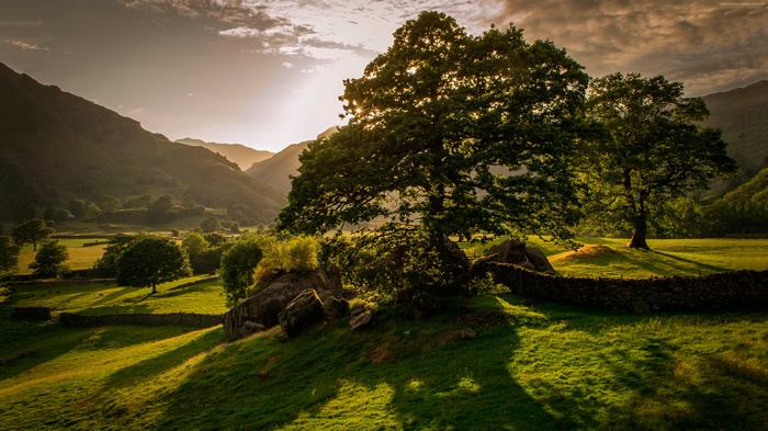 Sunset over rolling hills and trees