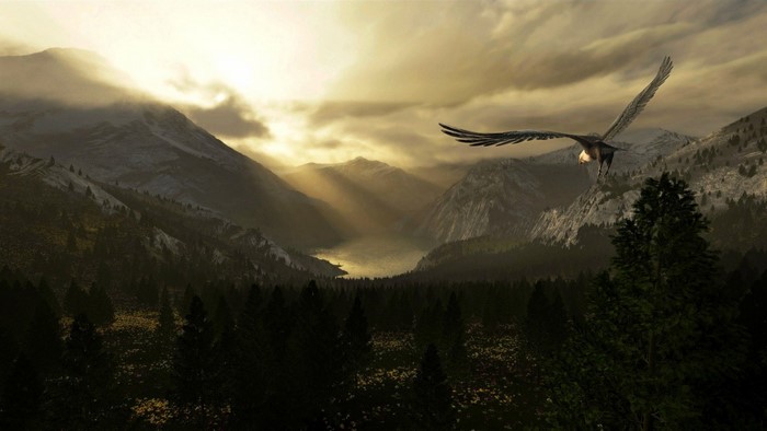 Eagle flying over a mountain valley at sunrise