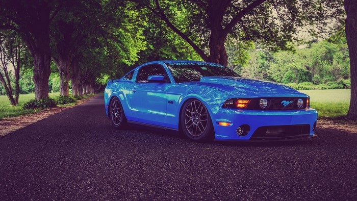 Blue Ford Mustang parked on a tree-lined road