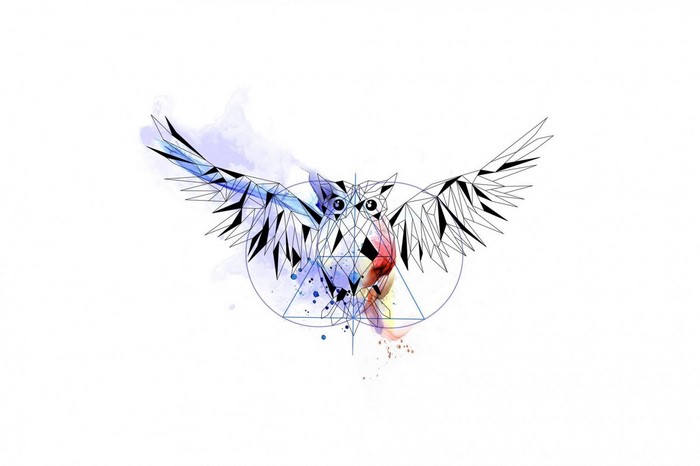Geometric owl with watercolor splashes and wings spread