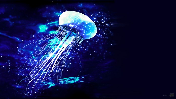 Glowing blue jellyfish in dark water with stars