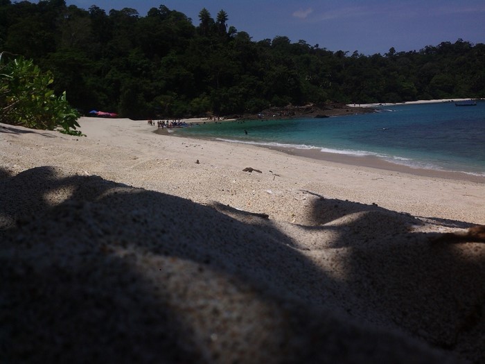 Sandy beach with turquoise water and lush green forest