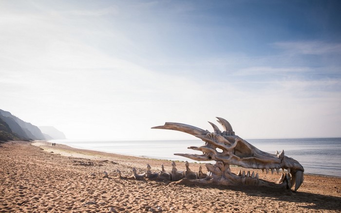 Dragon skull on a sandy beach by the sea