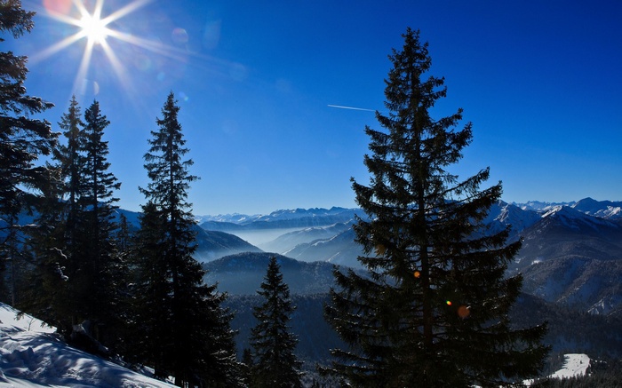 Sunlit mountain range with pine trees and snow
