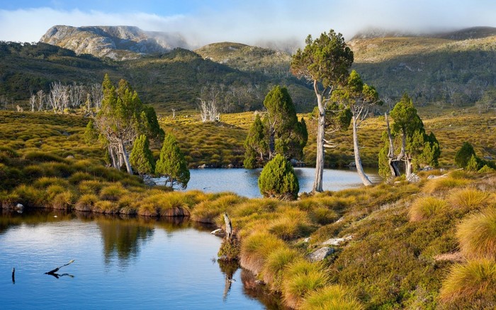 Lake and trees in a mountainous landscape in Tasmania