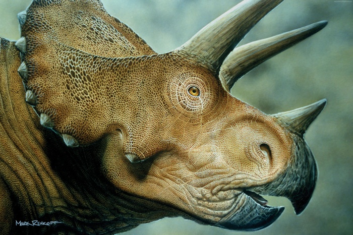 Triceratops Dinosaur Art by Mark Ryden