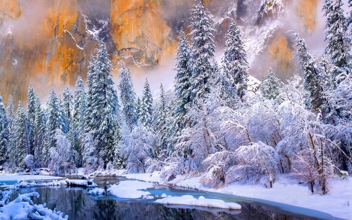 Snowy forest and river in Yosemite National Park