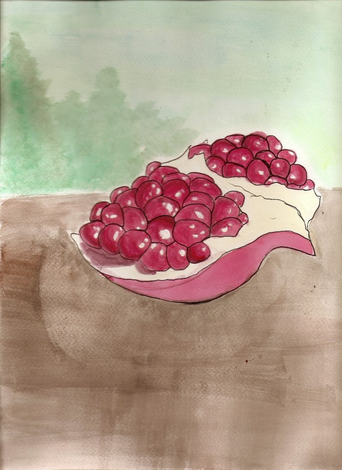 Watercolor painting of a pomegranate slice