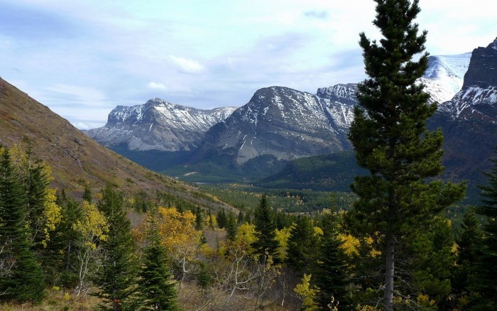 Mountain valley with autumn trees and snow-capped peaks