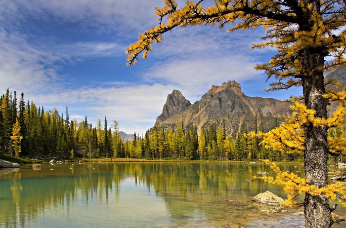Autumn lake with mountains and trees