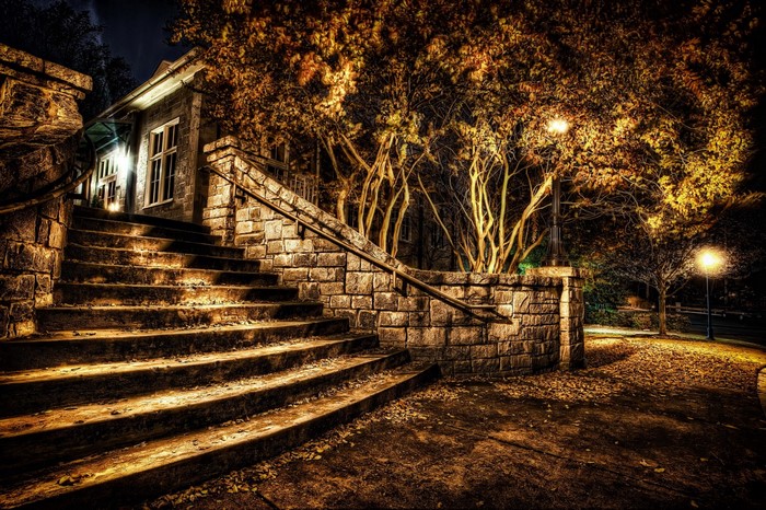 Stone stairs leading to a building at night with autumn trees and streetlights