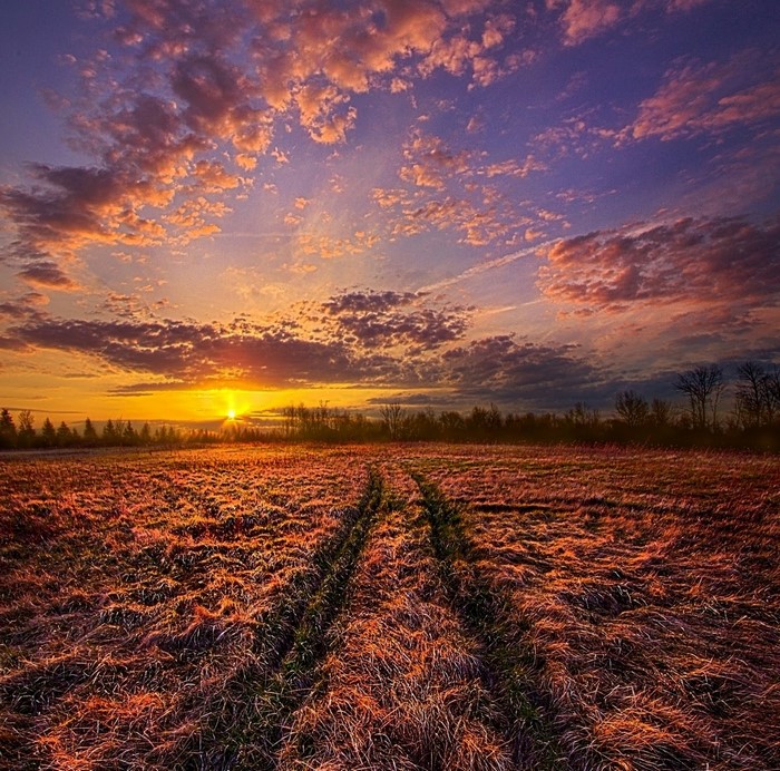 1134191 Sunlight Landscape Sunset Hill Nature Grass Sky Field Clouds Sunrise Yellow 1869