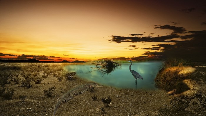 Crocodile and Heron by the Water at Sunset