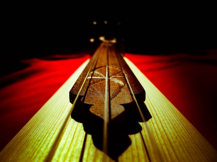 Close-up of a wooden musical instrument with strings