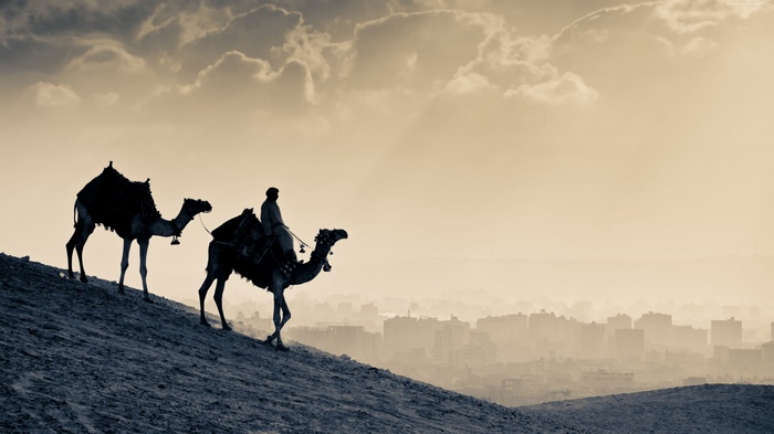 Two camels with riders in the desert at sunset