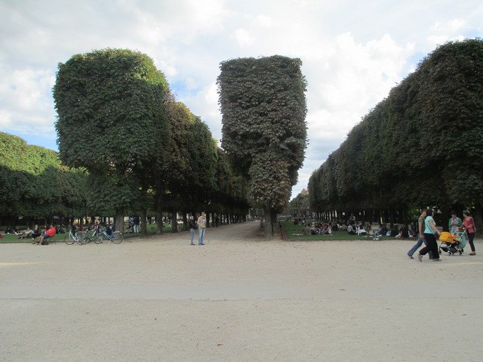People relaxing in a park with manicured trees