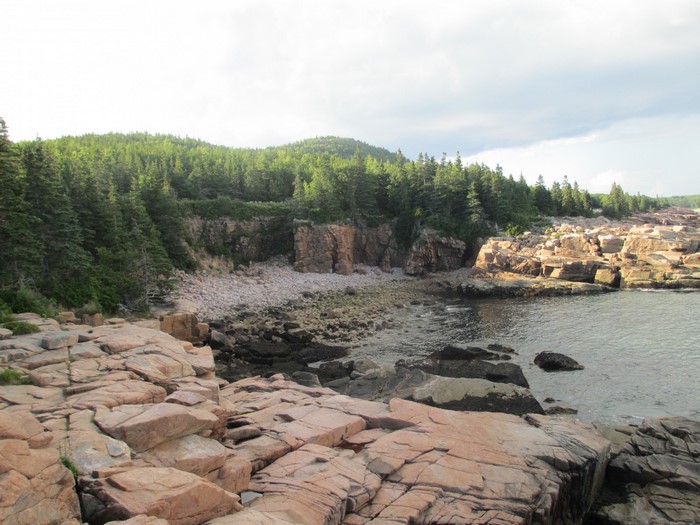 Rocky coastline with evergreen forest and ocean