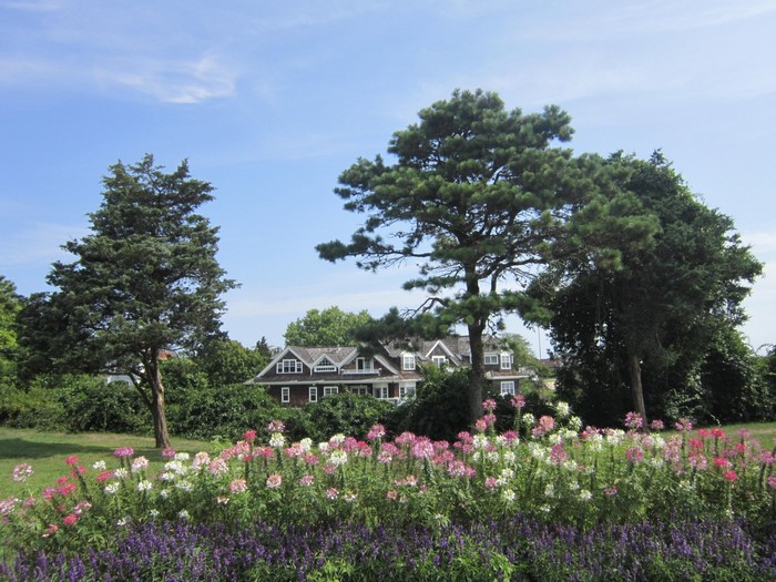 House with trees and flowers in a garden