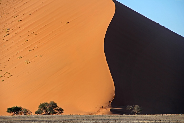 Namibian sand dunes with trees and people
