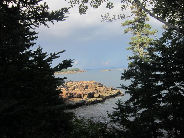 Rocky coastline with trees and ocean view