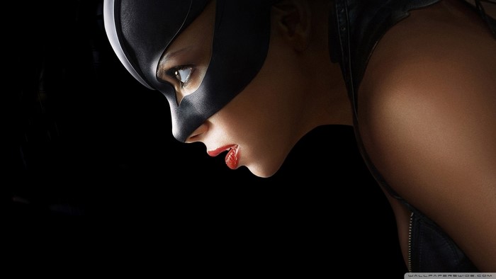Catwoman from Batman, Halle Berry