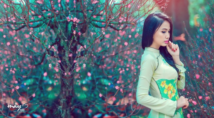 Woman in traditional Vietnamese dress among blooming trees